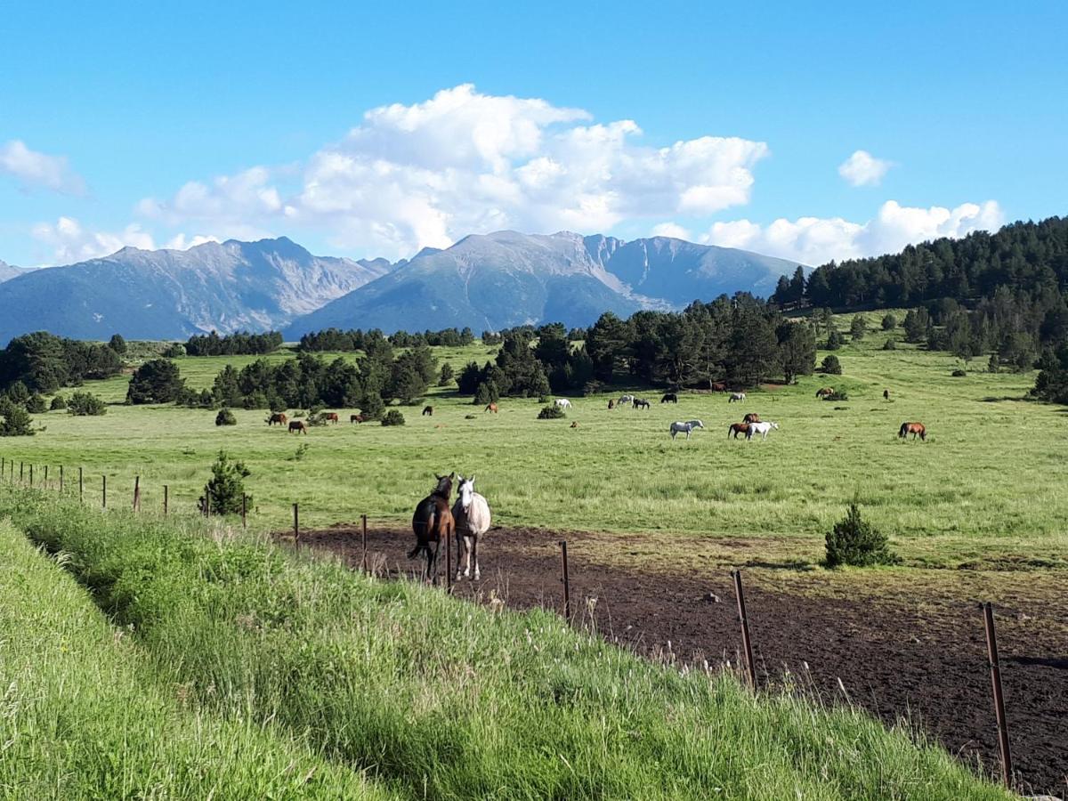 Les Eglantines A Διαμέρισμα Bolquere Pyrenees 2000 Εξωτερικό φωτογραφία